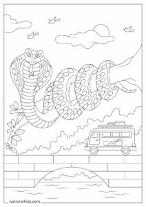 King Cobra Coloring Pages Book Printable Pdfs