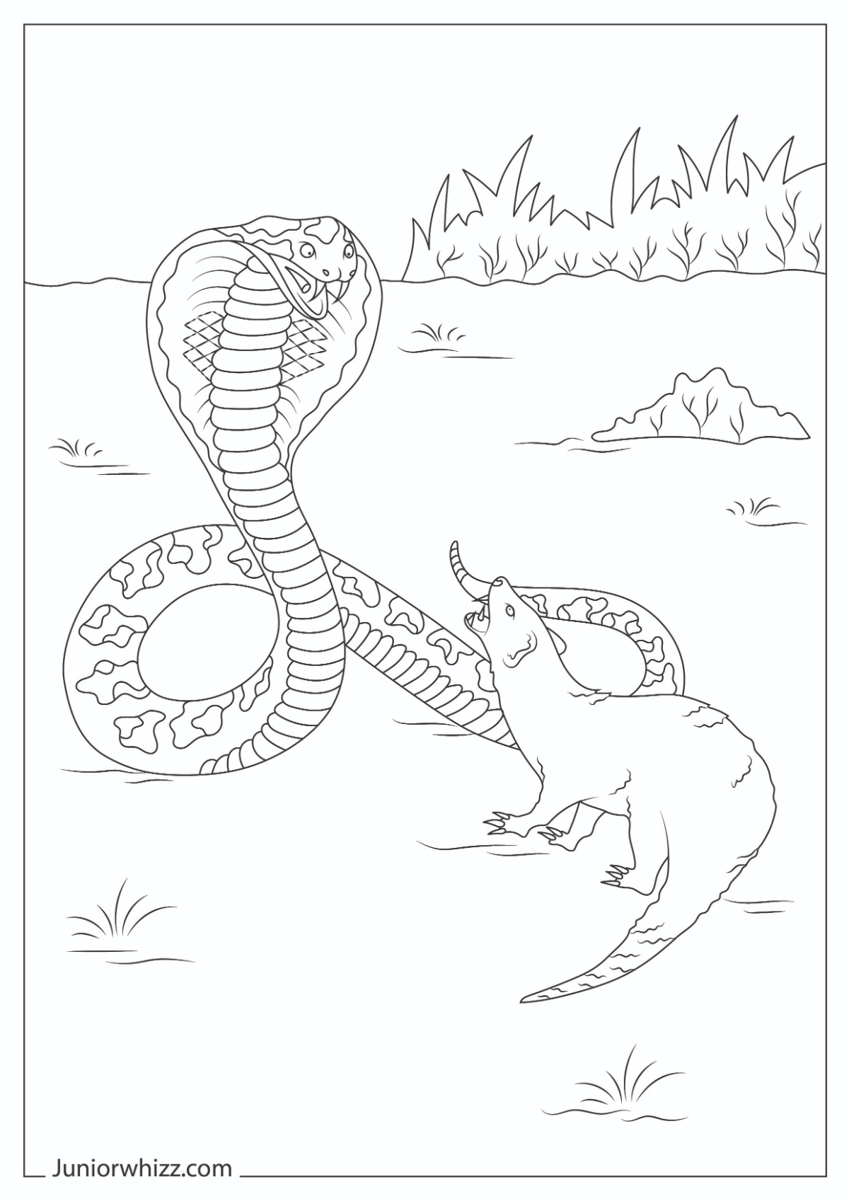 King Cobra Coloring Pages Book 12 Printable PDFs