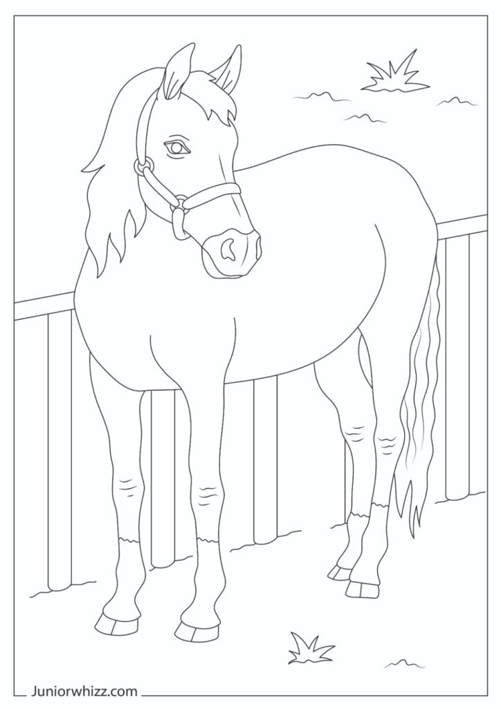 A Simple Horse Coloring Page For Kids