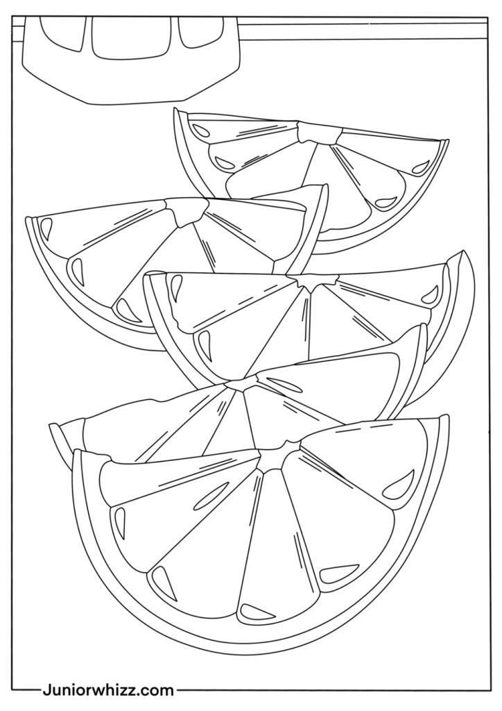 Detailed Sliced Lemon Illustration