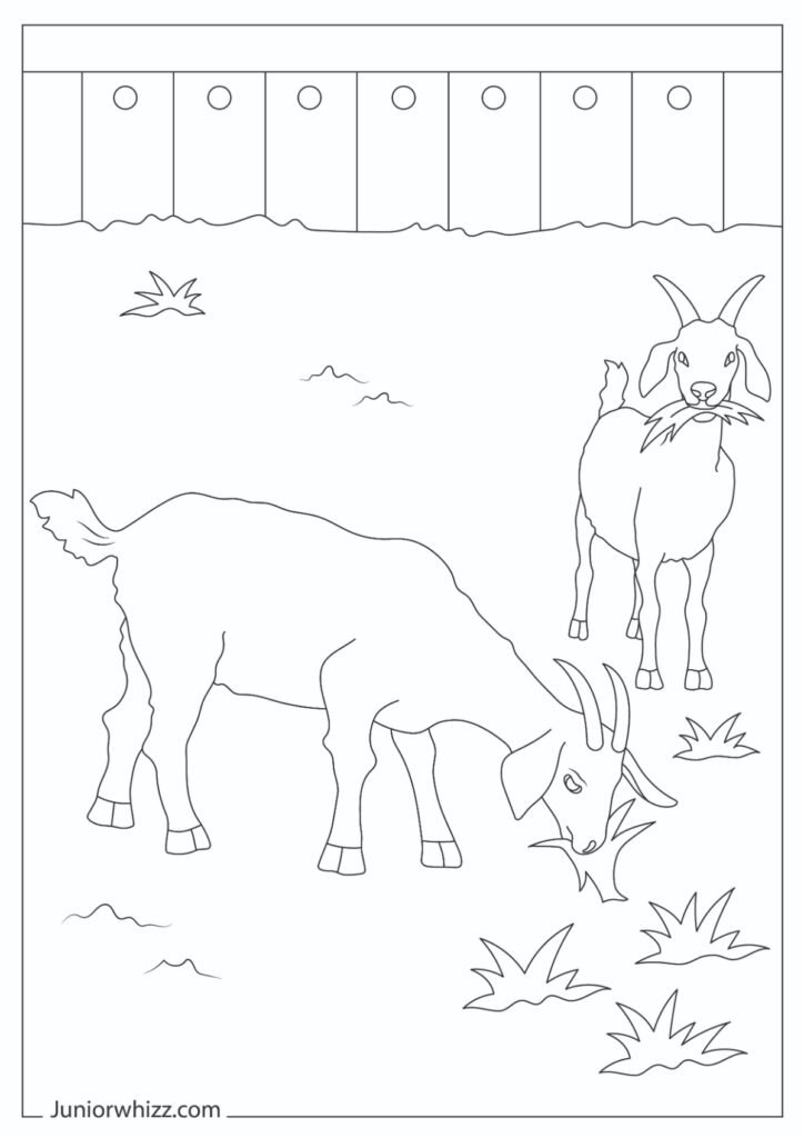 Simple Realistic Animal Coloring Page