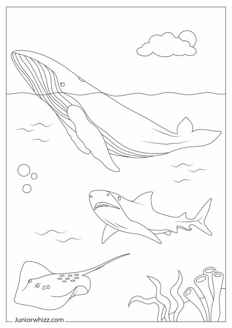 Sea Creatures Coloring Pages With Book (Printable PDFs)