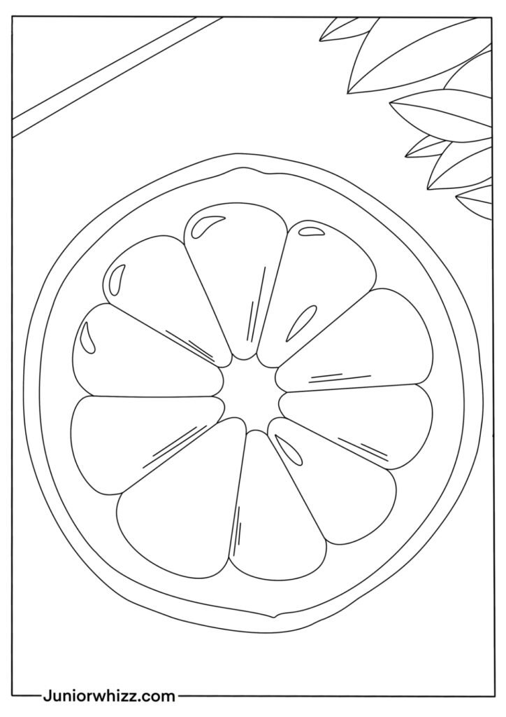 Simple Sliced Lemon Coloring Page