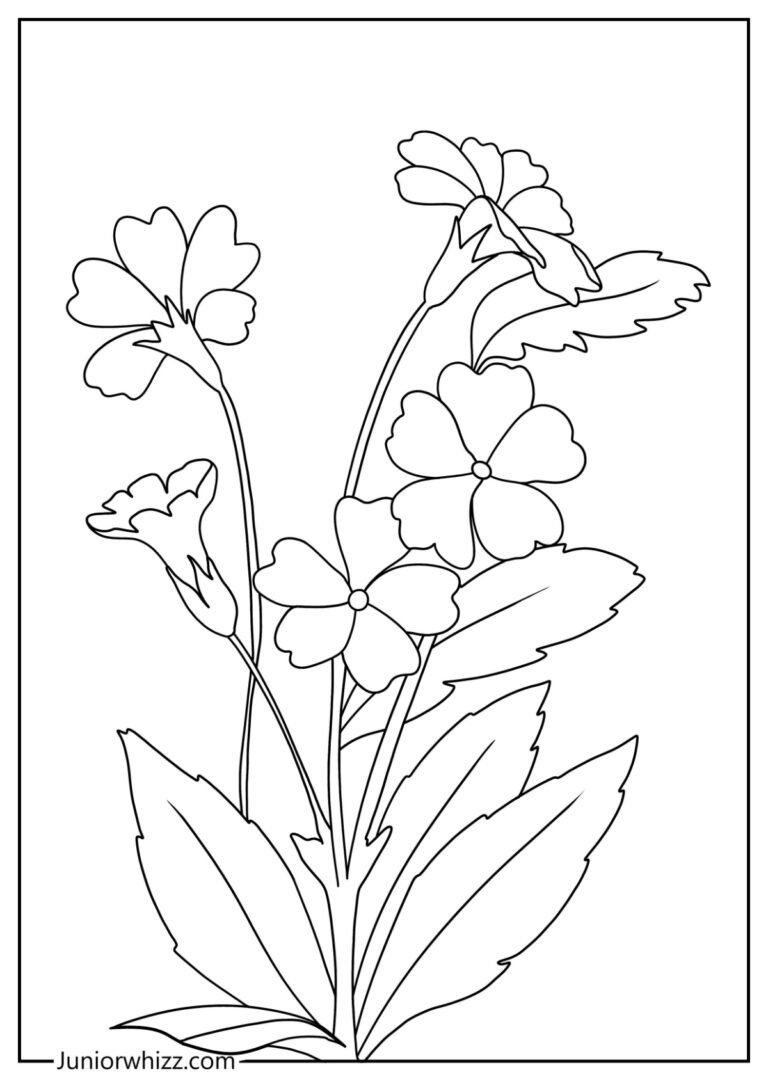 Easy Flower Drawing for Kids