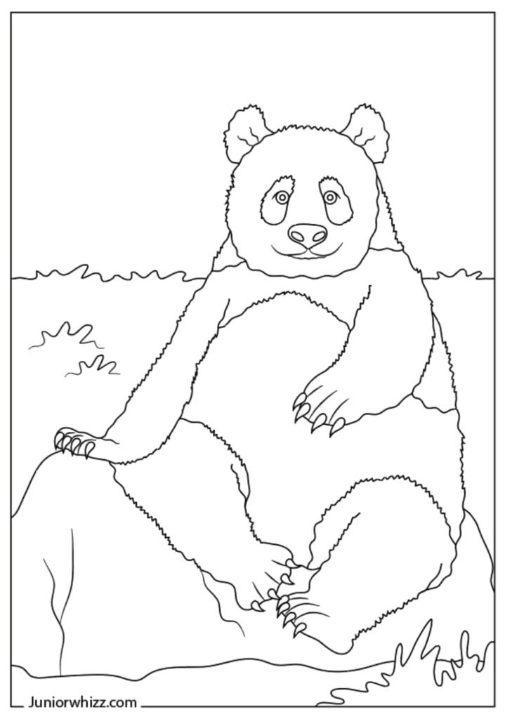 Easy Panda Coloring Page