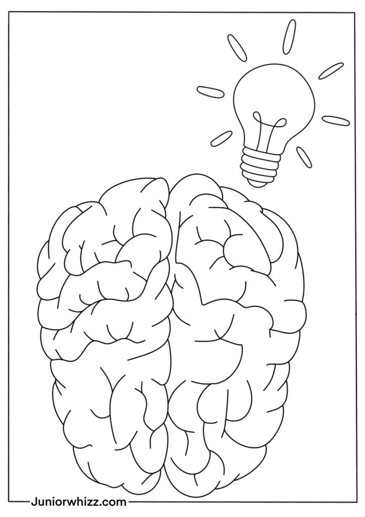 Human Brain Coloring Pages with Book (12 Printable PDF)